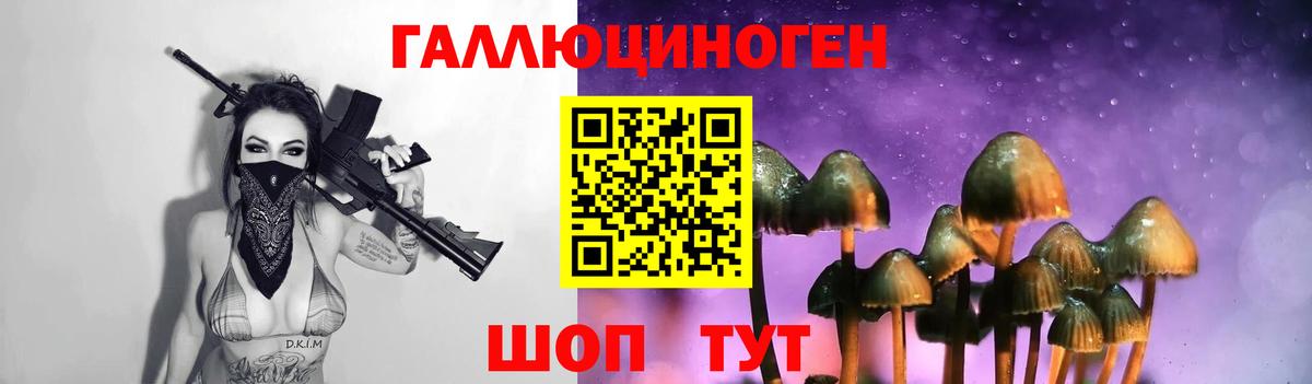 Галлюциногенные грибы GOLDEN TEACHER  Вход с VPN  Всеволожск 